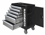 trolley tools with tools, number tools 251 pc, number drawers 4, type gap: soft content, series CONSUMER, (number all drawers: 6)