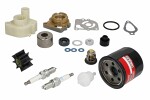 Service kit MERCURY F15/20HP Standard (number of hours: 300)