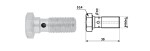 bolt pidurivoolikule - 10X1/30/S14 / seibidega copper/