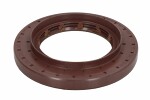 Differential elementti (shaft seal) ZF