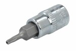 socket spindle/y TORX TAMPER plug / spindle: 1/4", dimensions: T8H,