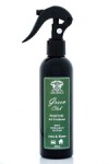 Spray air freshener AIR SPICE - Green Club