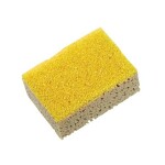 sponge and bug cleaning 15