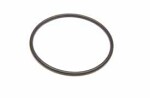 Tarpiklio sandarinimo žiedas 59,4x2,8 mm, kuro filtras 1319706a