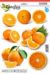 Kleebis 1/09425 HD apelsin
