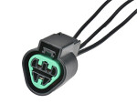 plug 3-pin, wired