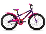 dviratis drag rush ss 16" purpurinė/rožinė
