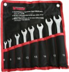 8pc. Ring Open End Wrench set 6-19mm triumf