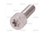 sprayer bolt 8x16 Common Rail for pump, torx