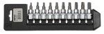 SONIC 10 part 3/8" Hex wrenches set TORX on plate,