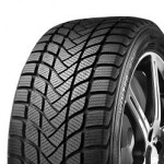 195/55R15 Delinte WD1 Tyre Without studs 85H