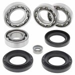 set bearing and seal differential front YAMAHA YFM 600 1998-
