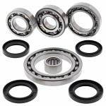 set bearing and seal differential rear SUZUKI LT-A 500 2001-