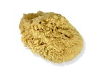 genuine sponge 10-15cm