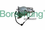 Borsehung  Oil Pump B11900