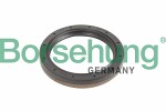 Borsehung  Shaft Seal,  manual transmission flange B12193