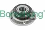 Borsehung  Wheel Bearing Kit B15626