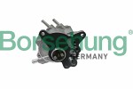 Borsehung  Vacuum Pump,  braking system B17906