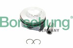 Borsehung  Piston Ring Kit B18990