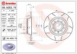 BREMBO  Тормозной диск XTRA LINE - Max 08.A202.75