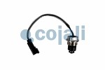 COJALI  Sensor, motoroljenivå 2263040