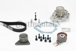CONTINENTAL CTAM  Water Pump & Timing Belt Kit CT979WP2