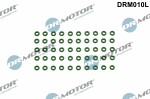 Dr.Motor Automotive  Rõngastihend, õhusissevõtutoru-õhufiltrikorpus DRM010L