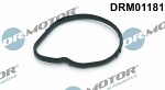 Dr.Motor Automotive  Прокладка,  термостат DRM01181