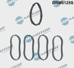 Dr.Motor Automotive  Комплект прокладок,  впускной коллектор DRM0125S