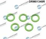 Dr.Motor Automotive  Уплотнительное кольцо,  резьбовая пробка маслосливн. отверст. DRM01348R
