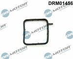 Dr.Motor Automotive  Прокладка,  трубка охлаждающей жидкости DRM01456