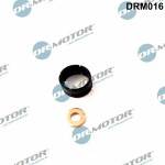 Dr.Motor Automotive  Комплект прокладок,  форсунка DRM016