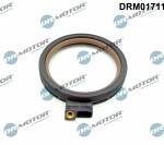 Dr.Motor Automotive  Уплотняющее кольцо,  коленчатый вал DRM01711