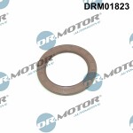 Dr.Motor Automotive  Shaft Seal,  crankshaft DRM01823