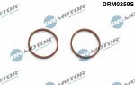 Dr.Motor Automotive  Gasket Set,  intake manifold DRM0259S