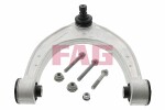 Schaeffler FAG  Control/Trailing Arm,  wheel suspension 821 0969 10