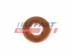 FAST  Seal Ring,  nozzle holder FT49847