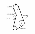 GATES  Hammasrihm RPM™ Racing Timing Belt T317RB