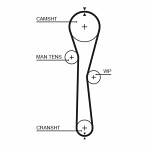 GATES  Timing Belt PowerGrip™ 5577XS