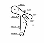 GATES  Timing Belt PowerGrip™ 5648XS