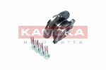 KAMOKA  Комплект подшипника ступицы колеса 5500132