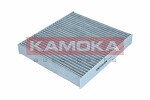 KAMOKA  Фильтр,  воздух во внутренном пространстве F513401