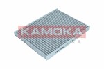 KAMOKA  Filter,salongiõhk F516801