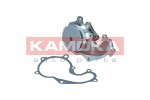 KAMOKA  Водяной насос,  охлаждение двигателя T0128