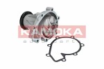 KAMOKA  Water Pump,  engine cooling T0181
