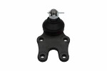 KAVO PARTS  Ball Joint SBJ-1503