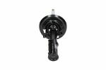 KAVO PARTS  Shock Absorber SSA-10220