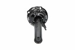 KAVO PARTS  Shock Absorber SSA-10365