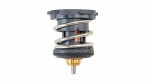 MAHLE  Thermostat,  coolant BEHR TX 252 87