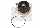 MAPCO  Water Pump,  engine cooling 21003